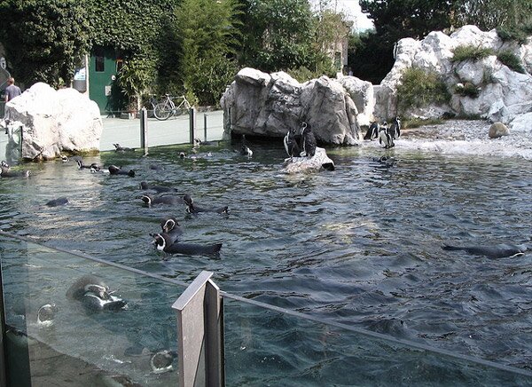 Шьонбрун - най-старата зоологическа градина в света (Schonbrunn Zoo)